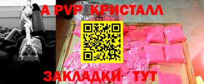 спайс Кингисепп