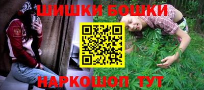 спайс Кингисепп