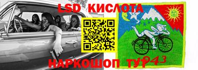 спайс Кингисепп