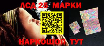 спайс Кингисепп