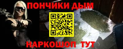 спайс Кингисепп
