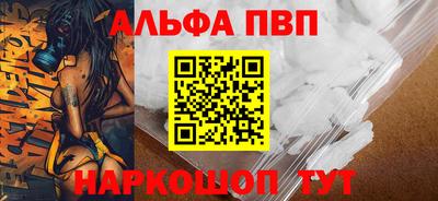 спайс Кингисепп