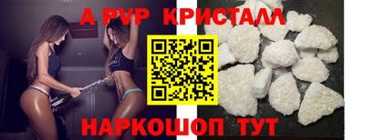 спайс Кингисепп