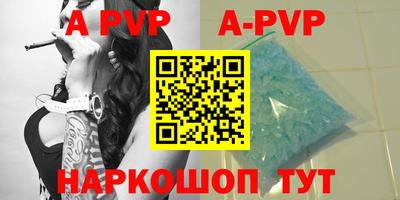 спайс Кингисепп