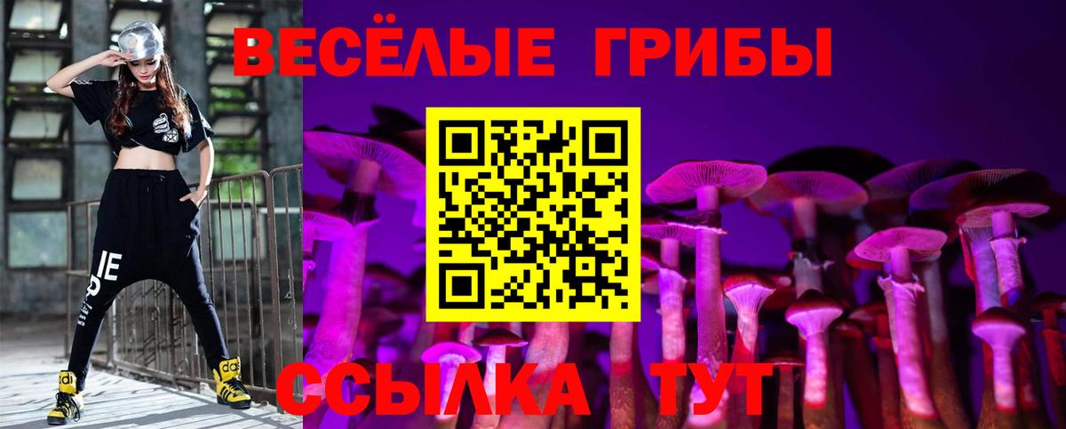 Псилоцибиновые грибы MAGIC MUSHROOMS  Вход с VPN  Галлюциногенные грибы ЛСД  Кстово 