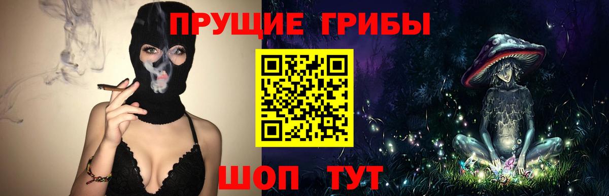 Галлюциногенные грибы Cubensis Кстово